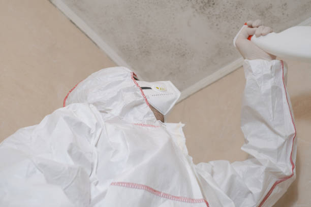 Best Office Mold Removal Services  in Mack, OH