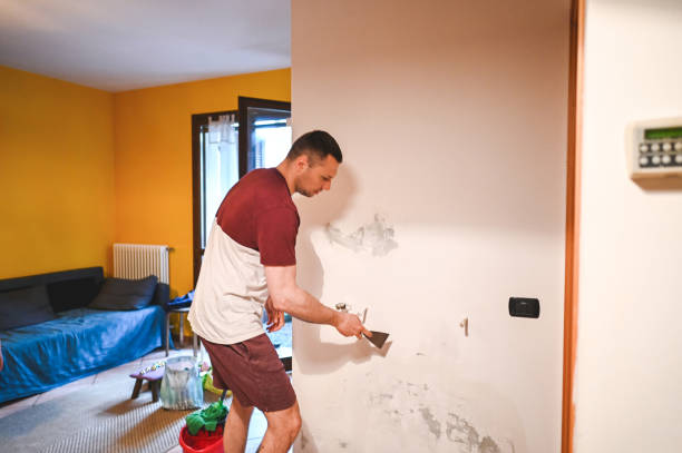 Best Mold Remediation Services  in Mack, OH